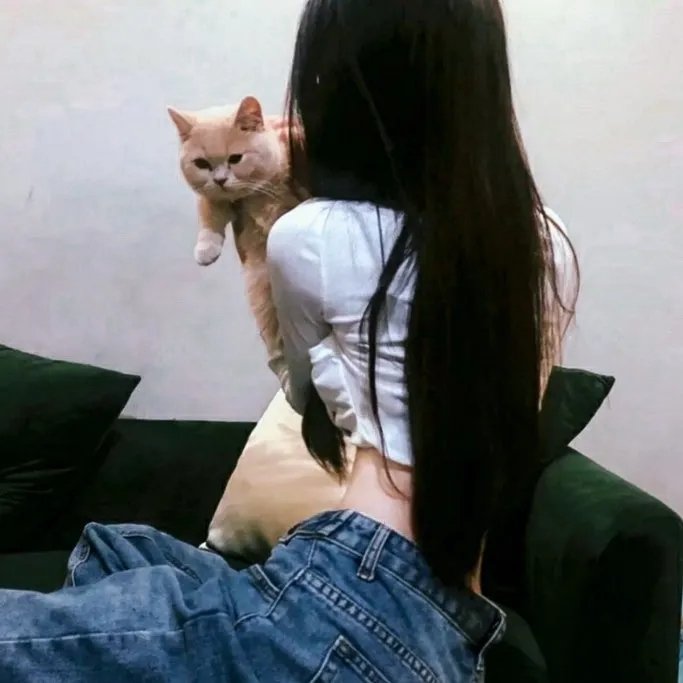 欲海女王蜂